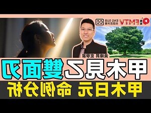甲木 乙木 怎麼看